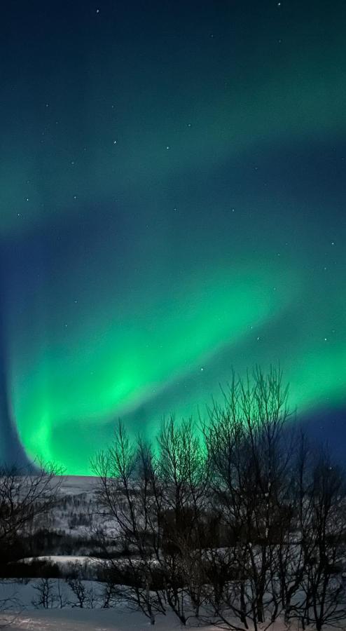 Tromsdalen Aurora Apartments Tromsø Exteriér fotografie